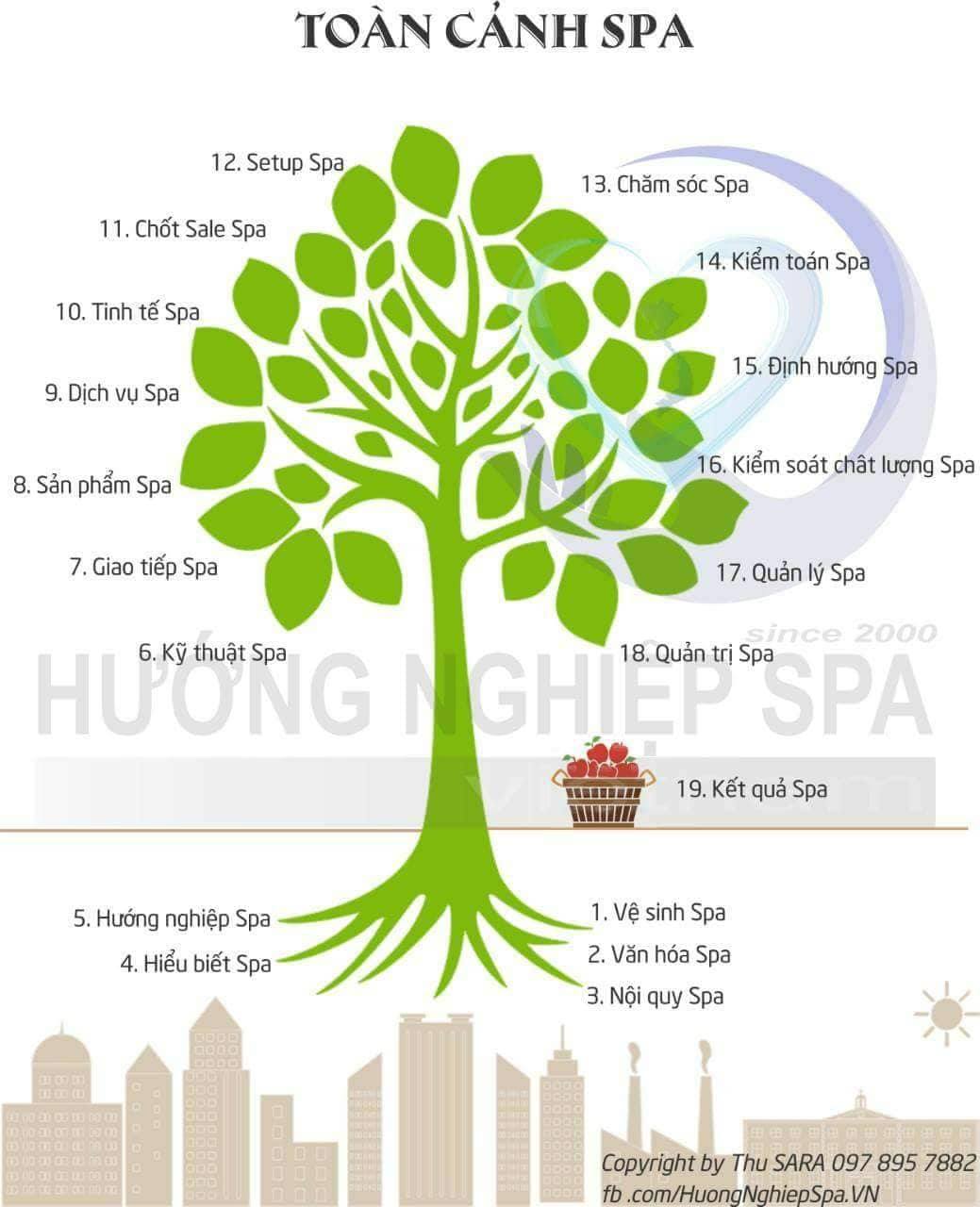 Hệ thống 1-6-7-69 — Cây Spa